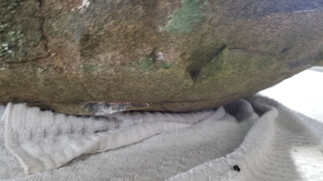 極希少品★高級つくばい 手水鉢 睡蓮鉢 大型水鉢 オリジナル　リーフ型　引取三重