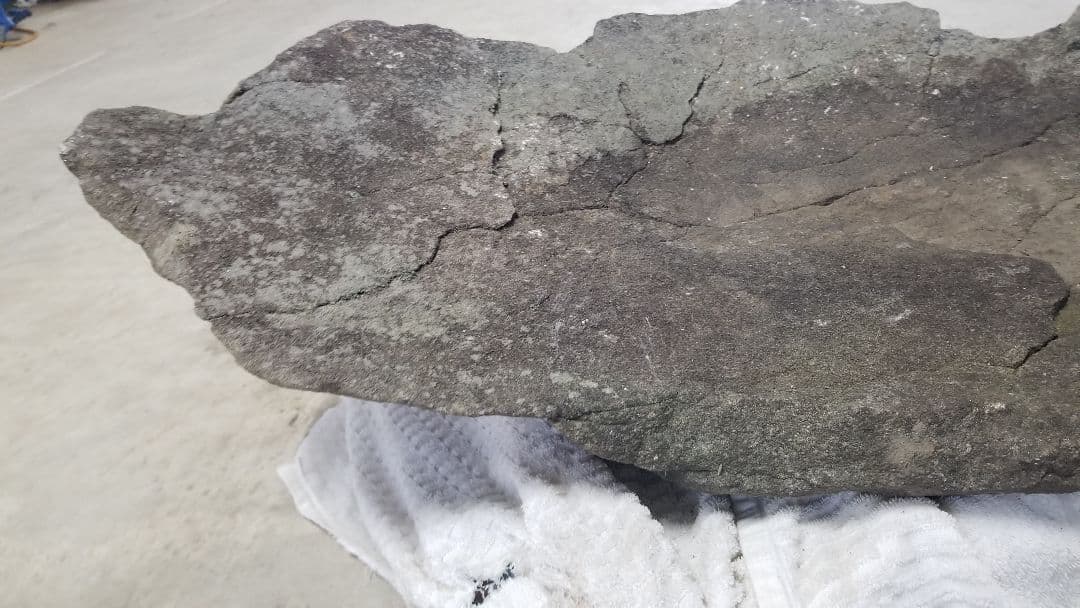 極希少品★高級つくばい 手水鉢 睡蓮鉢 大型水鉢 オリジナル　リーフ型　引取三重