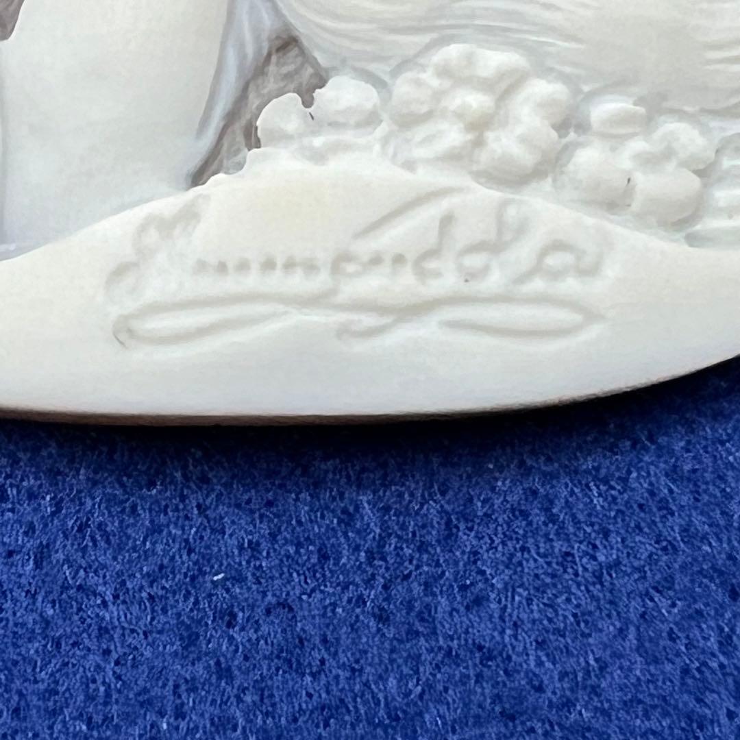 天然シェル カメオ 作者名アリ 11.6g 日本宝石科学協会ソーティング付き