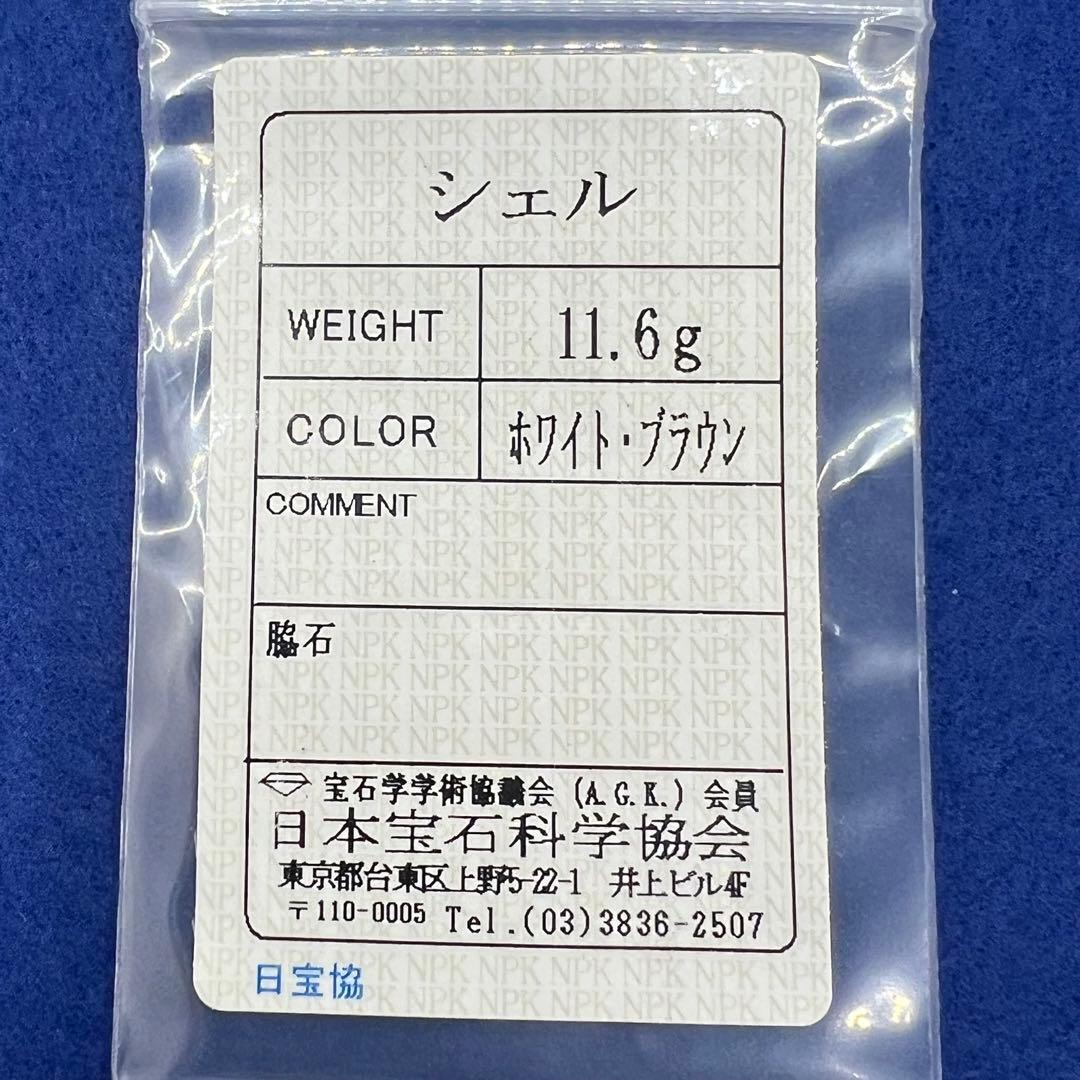 天然シェル カメオ 作者名アリ 11.6g 日本宝石科学協会ソーティング付き
