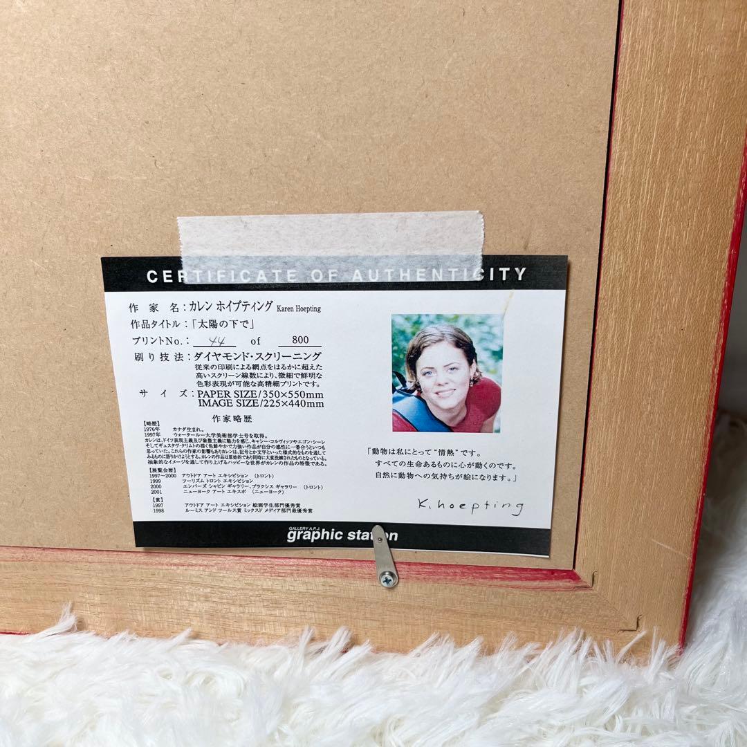カレン ホイプティング 「太陽の下で」44/800 - メルカリ