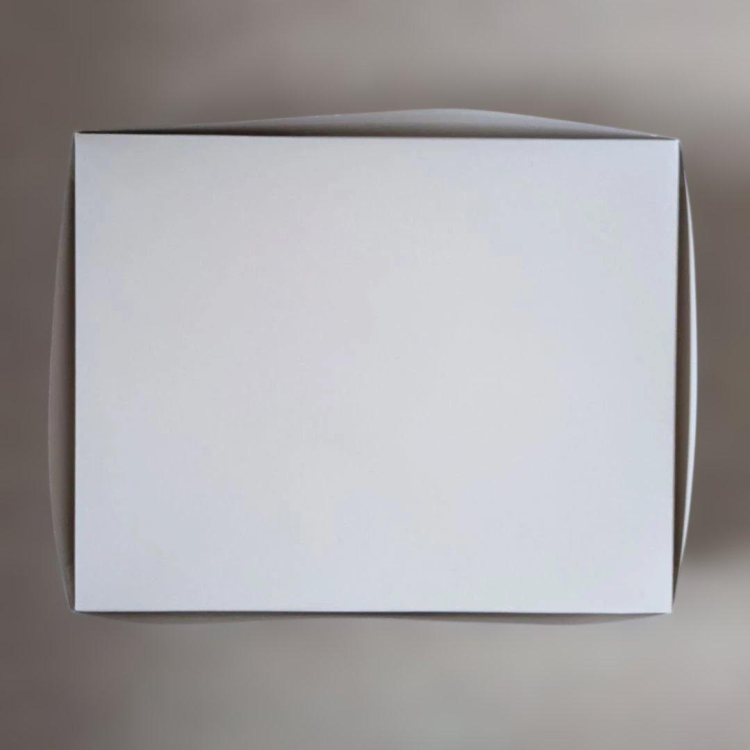 【未組立】MG 1/100 ガンダムフェニーチェリナーシタアルバ