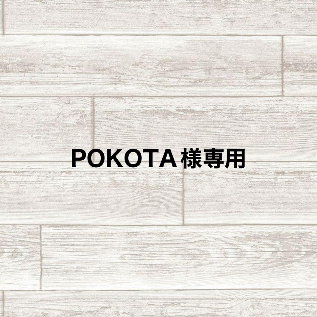 その他 POKOTA