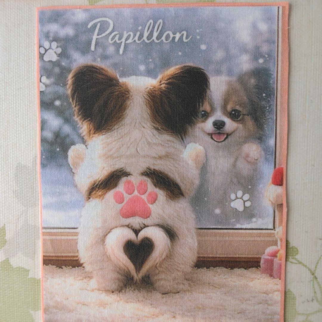 ☆受付☆パピヨン