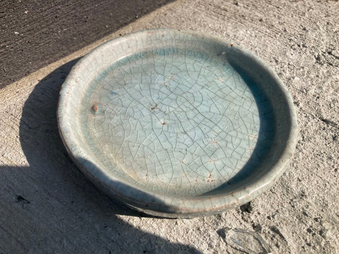 置物 CACTUS -flower vase-