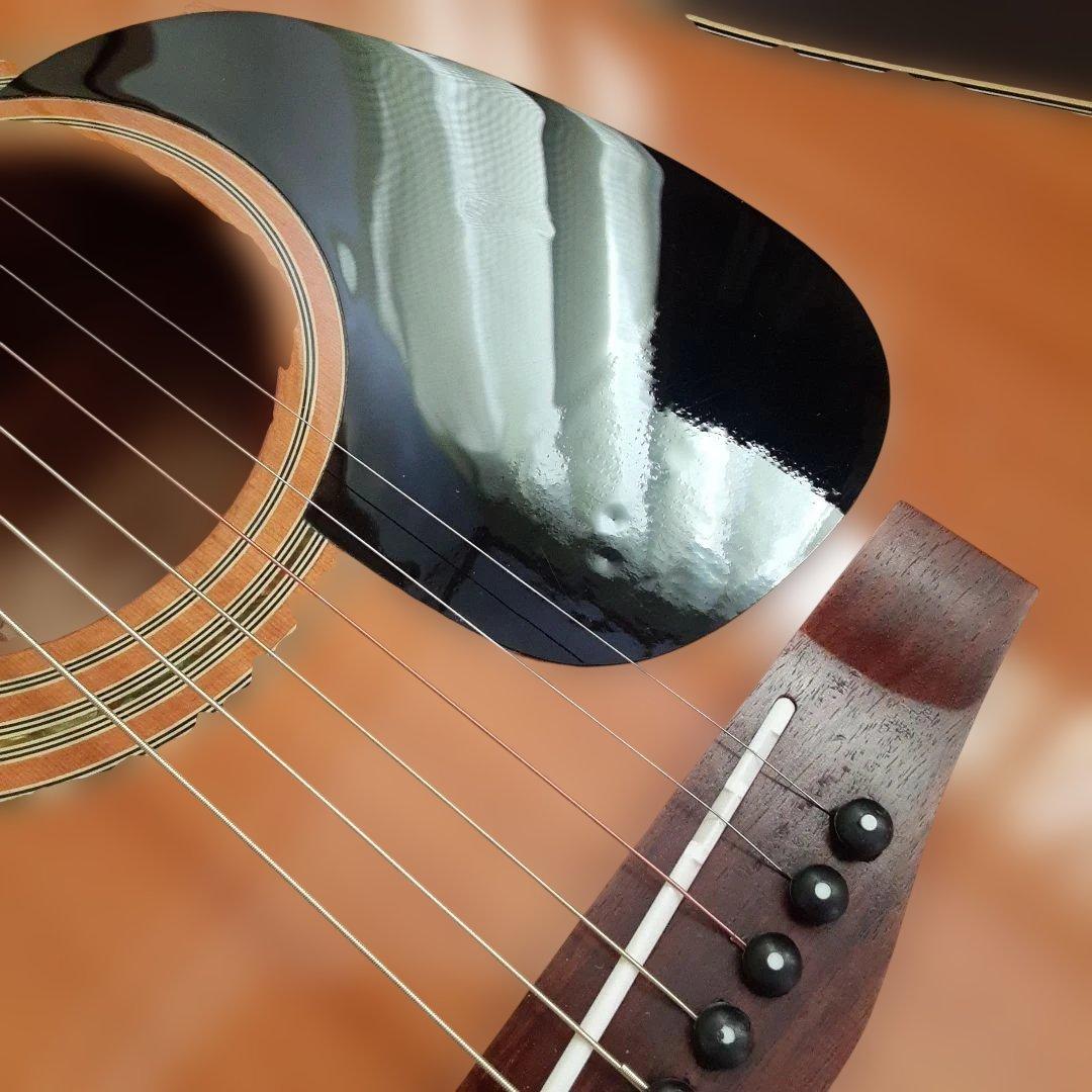 Fina FAW 800NTアコースティックギター カッタウェイ - メルカリ