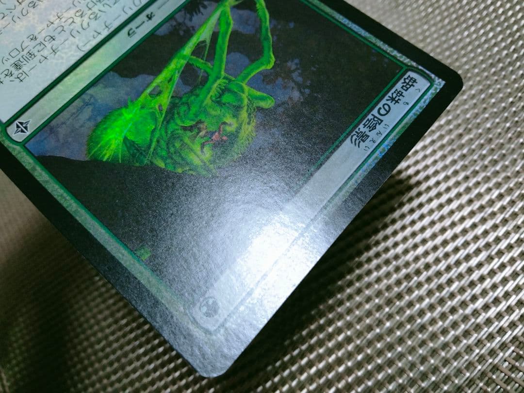 ご確認用】エルドラージ覚醒 foil 蜘蛛の陰影 日本語 1枚 MTG - メルカリ