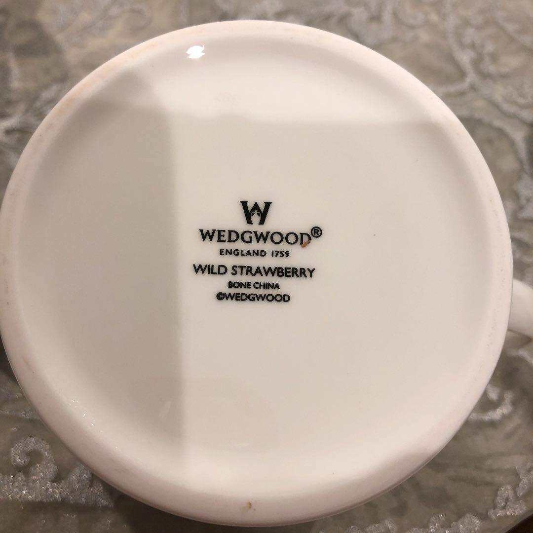 希少　WEDG ワイルドストロベリー　マイポット　300cc