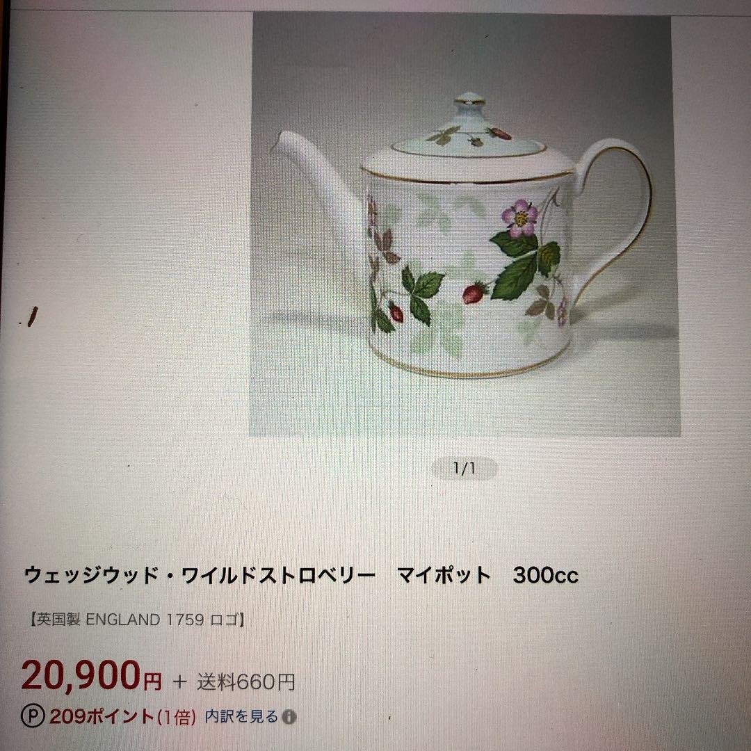 希少　WEDG ワイルドストロベリー　マイポット　300cc