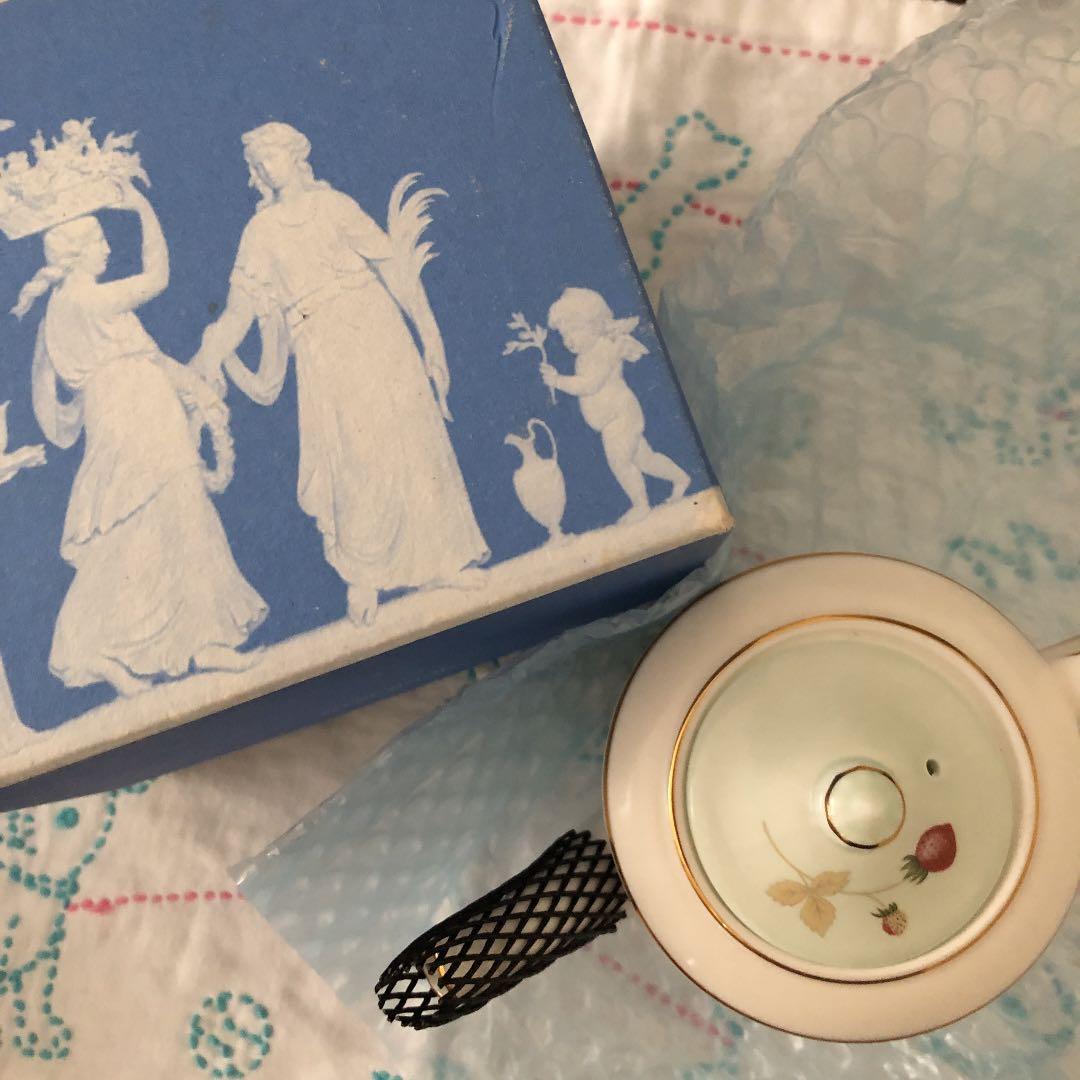 希少　WEDG ワイルドストロベリー　マイポット　300cc