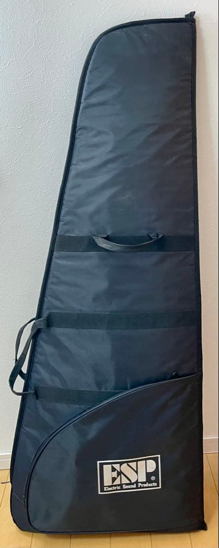 ESP LTD Vulture James Hetfield シグネチャーモデル