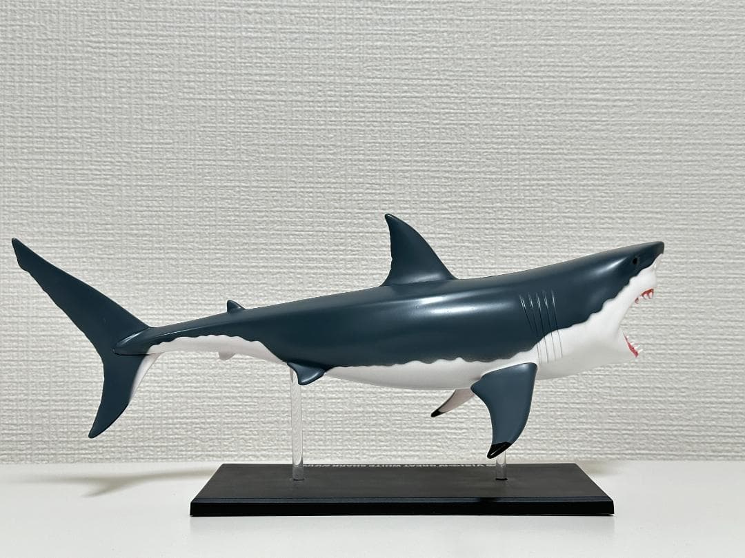4Dビジョン ホホジロザメ 鮫 解剖モデル Great White Shark - メルカリ