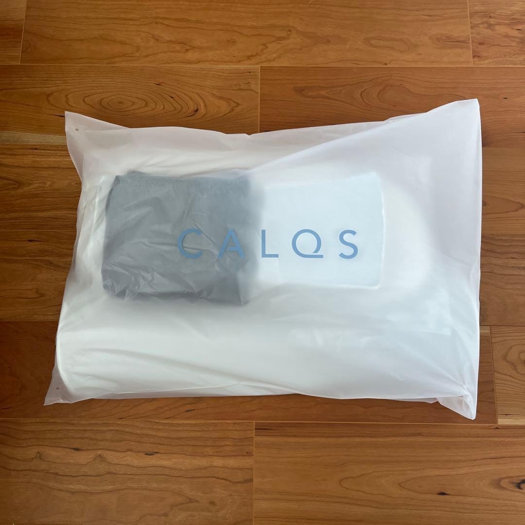 CALQS カルクス 首と肩のことだけを考えたダブル枕PLUS 専用カバー付き
