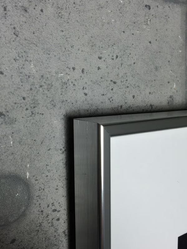 額装品/Bjork/ビョーク/Core/Andrew Thomas/アート