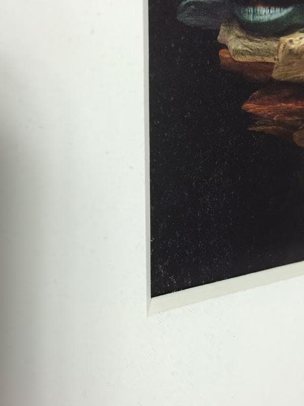 額装品/Bjork/ビョーク/Core/Andrew Thomas/アート