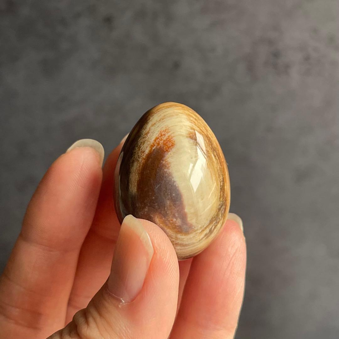 ペトリファイドウッド ミニegg 珪化木