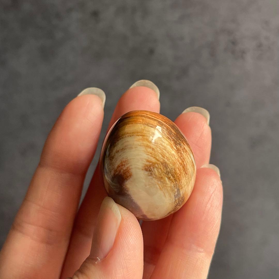 ペトリファイドウッド ミニegg 珪化木