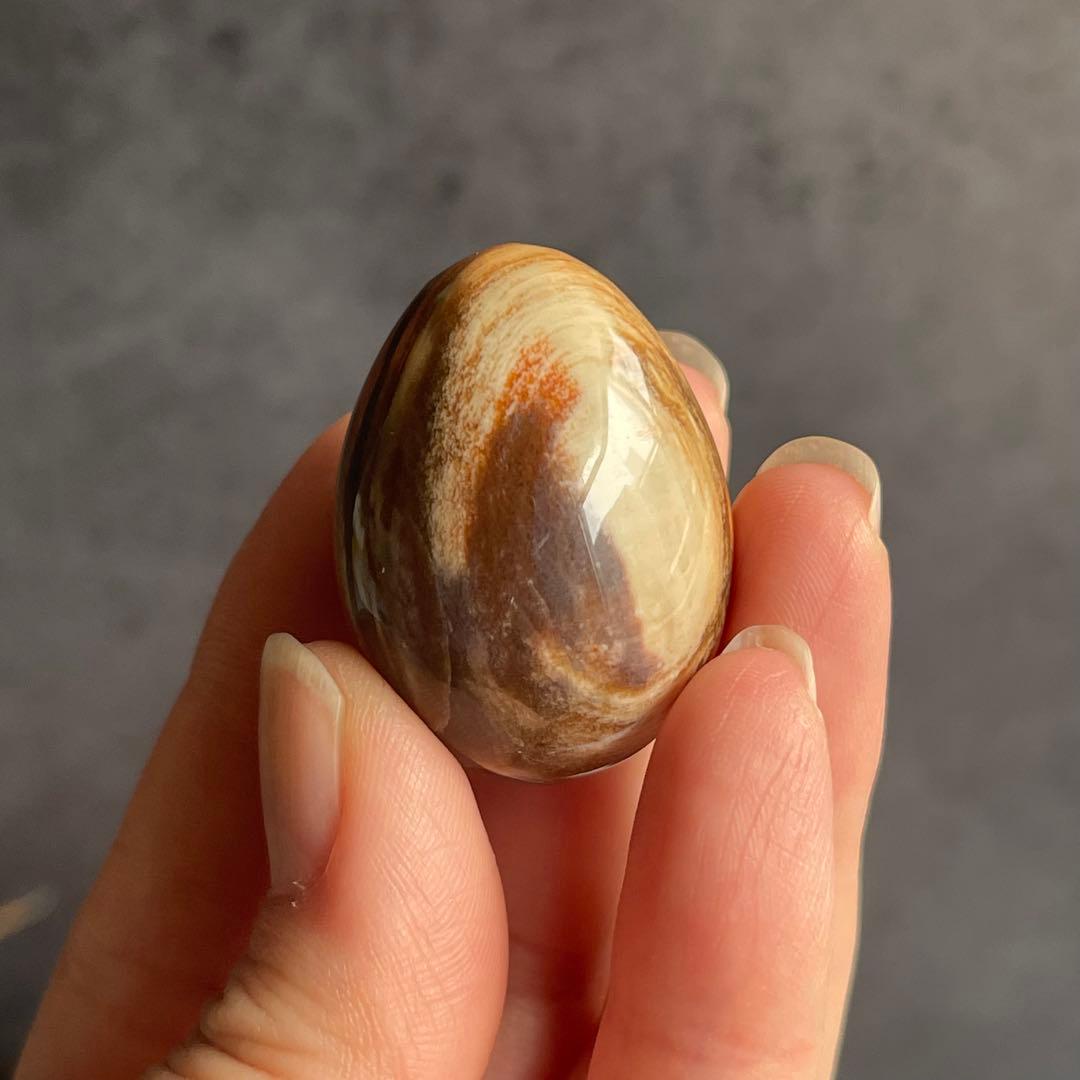 ペトリファイドウッド ミニegg 珪化木