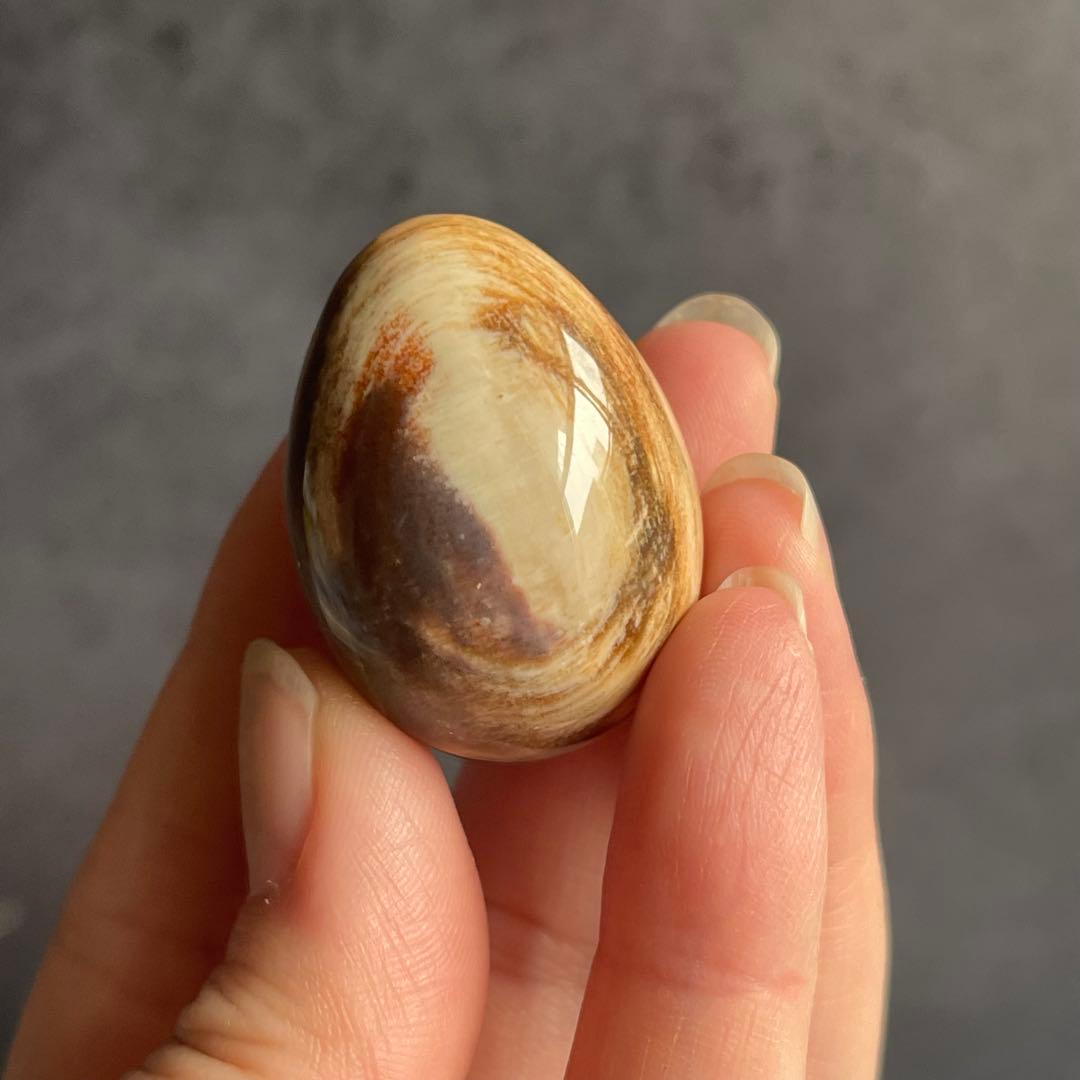 ペトリファイドウッド ミニegg 珪化木