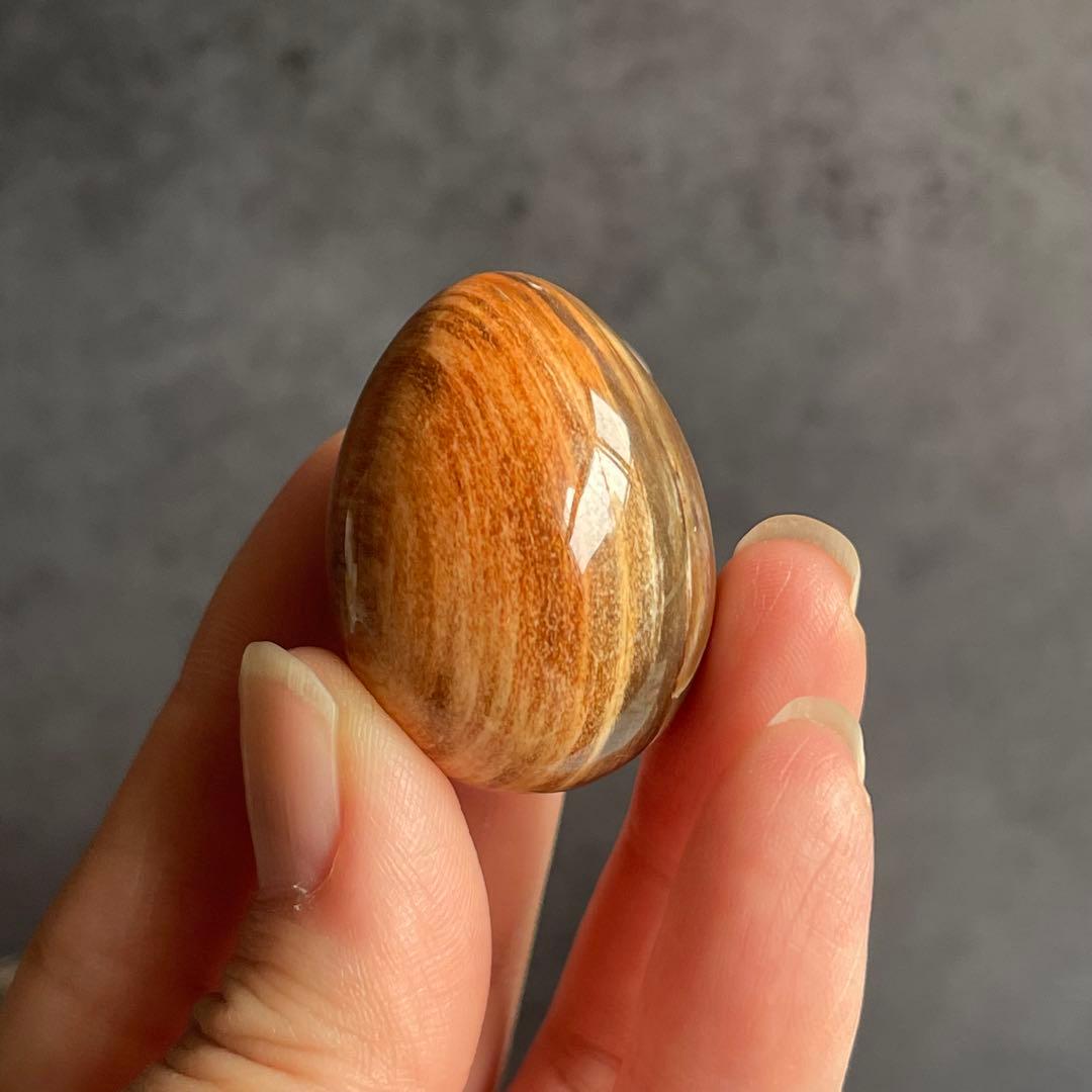 ペトリファイドウッド ミニegg 珪化木