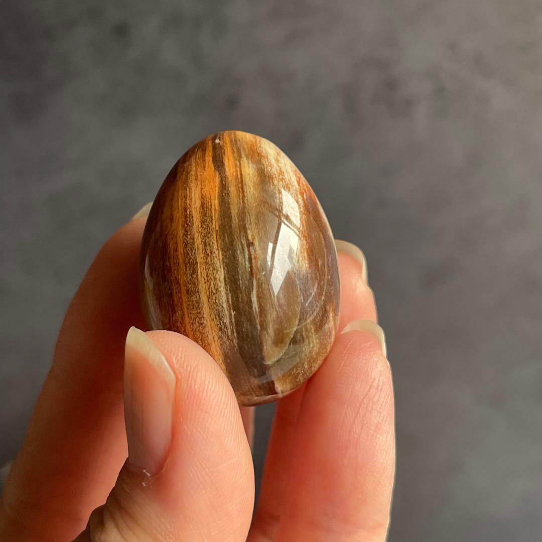 ペトリファイドウッド ミニegg 珪化木