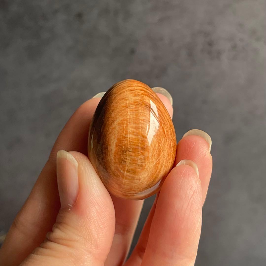 ペトリファイドウッド ミニegg 珪化木