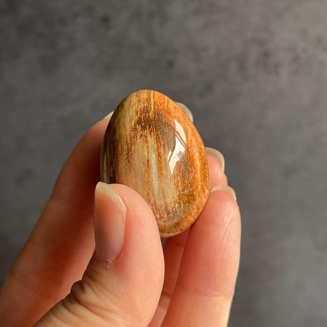 ペトリファイドウッド ミニegg 珪化木