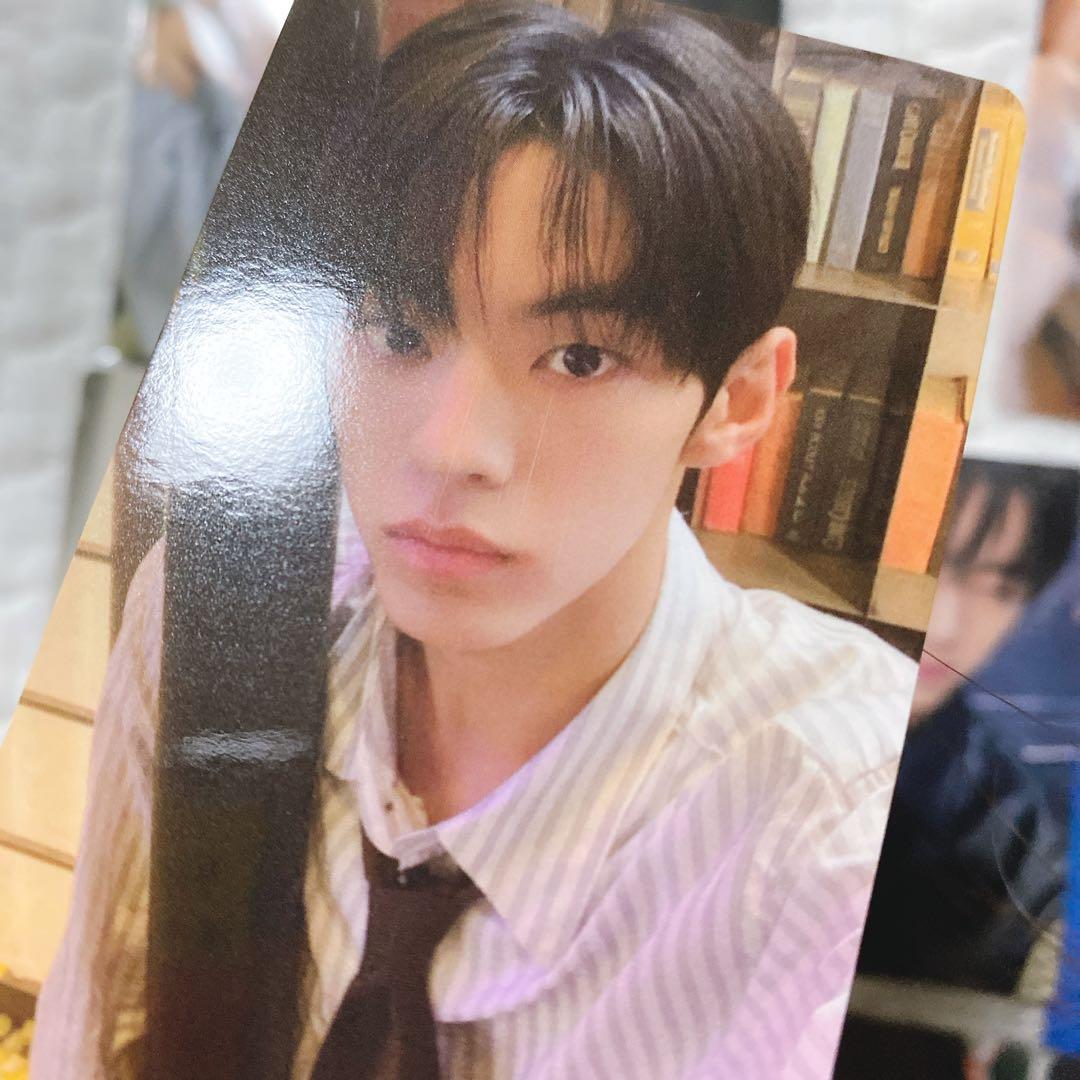 TWS トレカ　ドフン　おまとめ