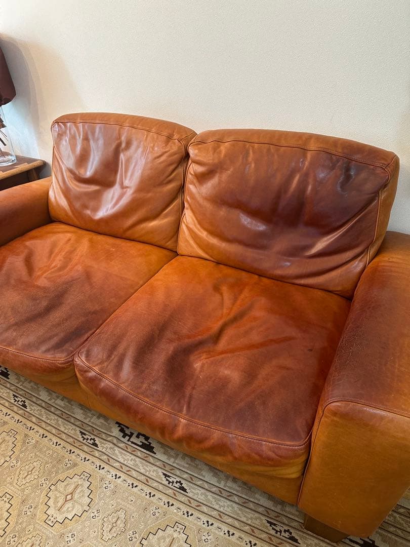 その他 ACME Furniture FRESNO SOFA 2P