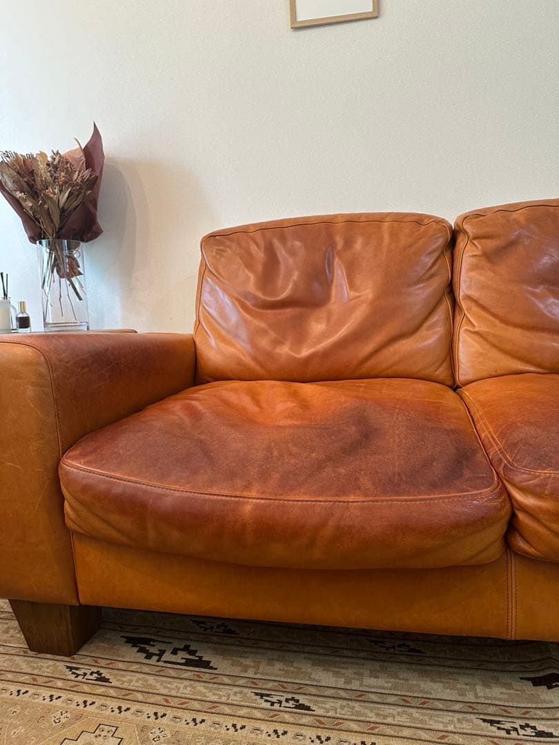 その他 ACME Furniture FRESNO SOFA 2P