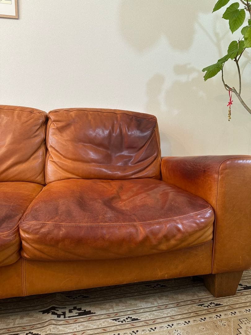 その他 ACME Furniture FRESNO SOFA 2P