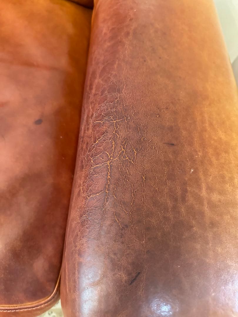 その他 ACME Furniture FRESNO SOFA 2P