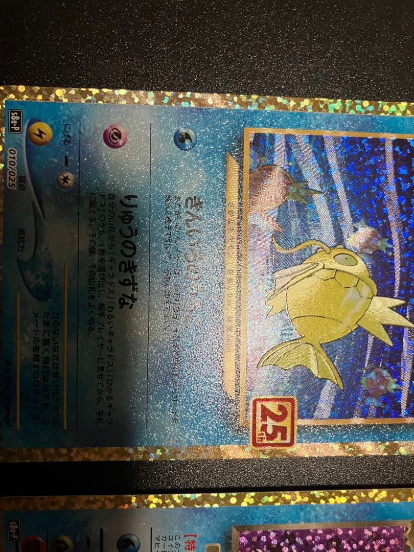 ひかるコイキング & わるいギャラドス 25th