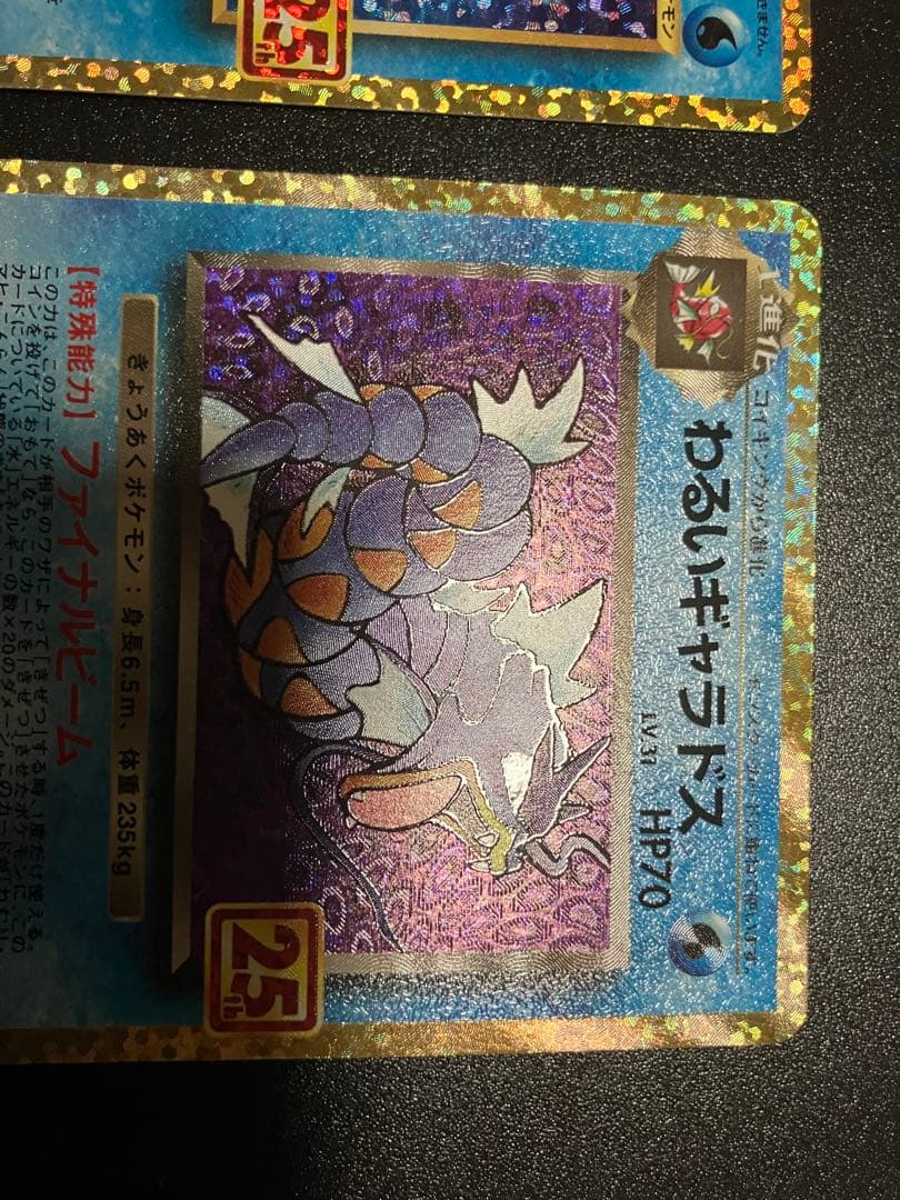 ひかるコイキング & わるいギャラドス 25th