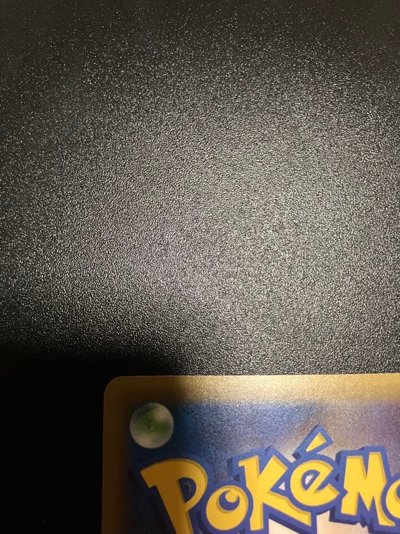 ひかるコイキング & わるいギャラドス 25th