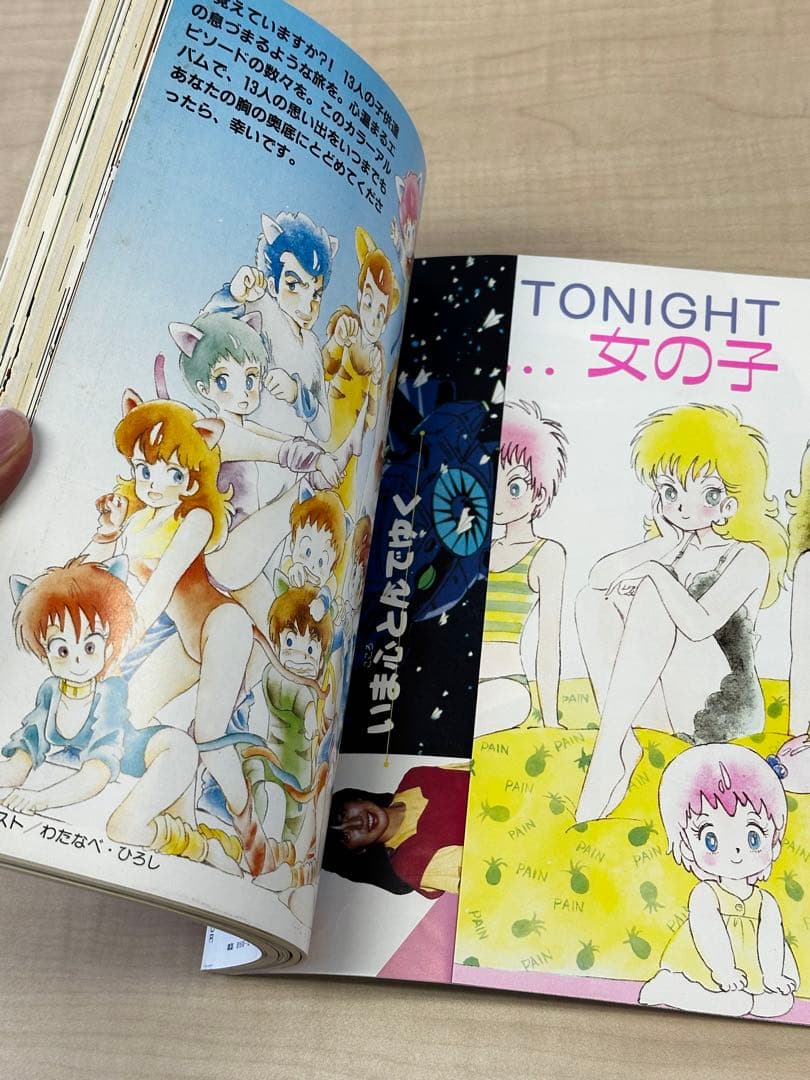 (美品・レア)銀河漂流バイファム　解説本