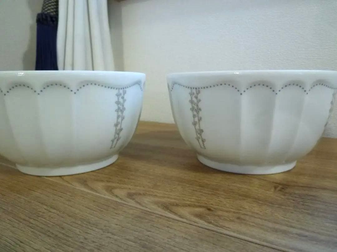 リチャードジノリ ミナペルホネン ジェルモリオ カフェオレボウル2個