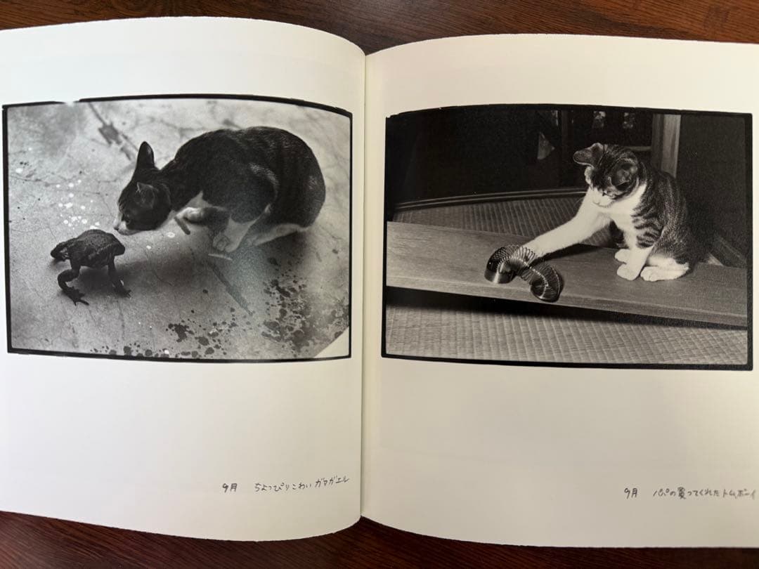 「After Word」 深瀬昌久 写真集