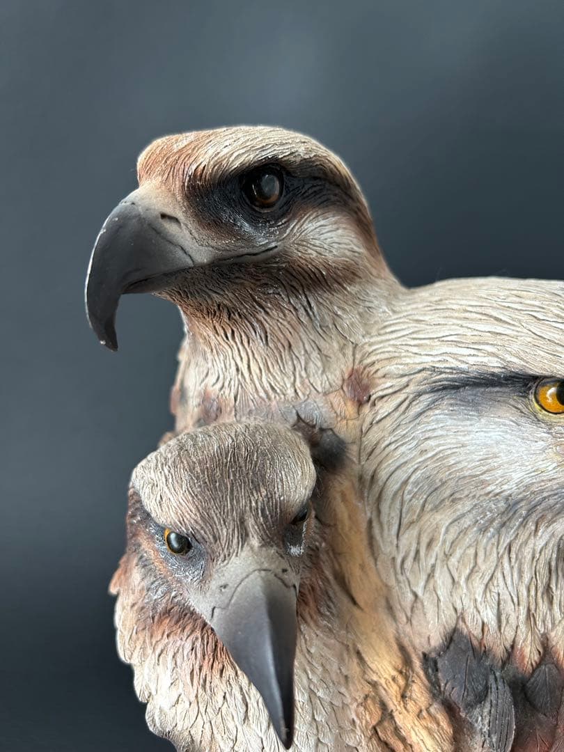 置物 Neil Rose BIRDS OF PREY Resin Sculpture