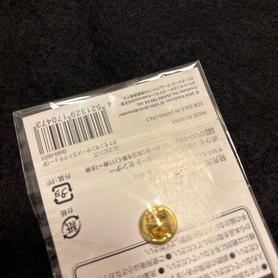 J*e様 #ゆんの気まぐれオークション ピンズ ポケモン リザードン