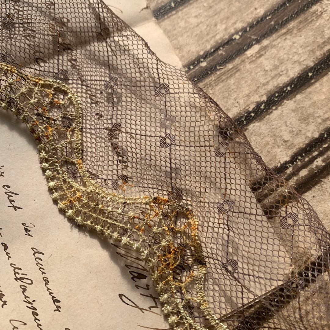 偶然の産物シリーズ☆錆染めチュールレース1メートル⑧260