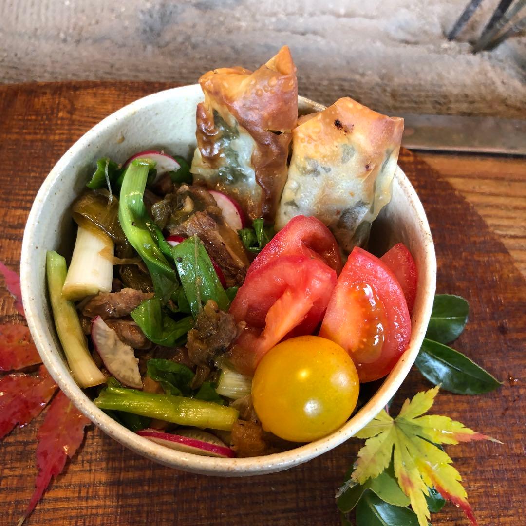 うつわ彩りセット￼