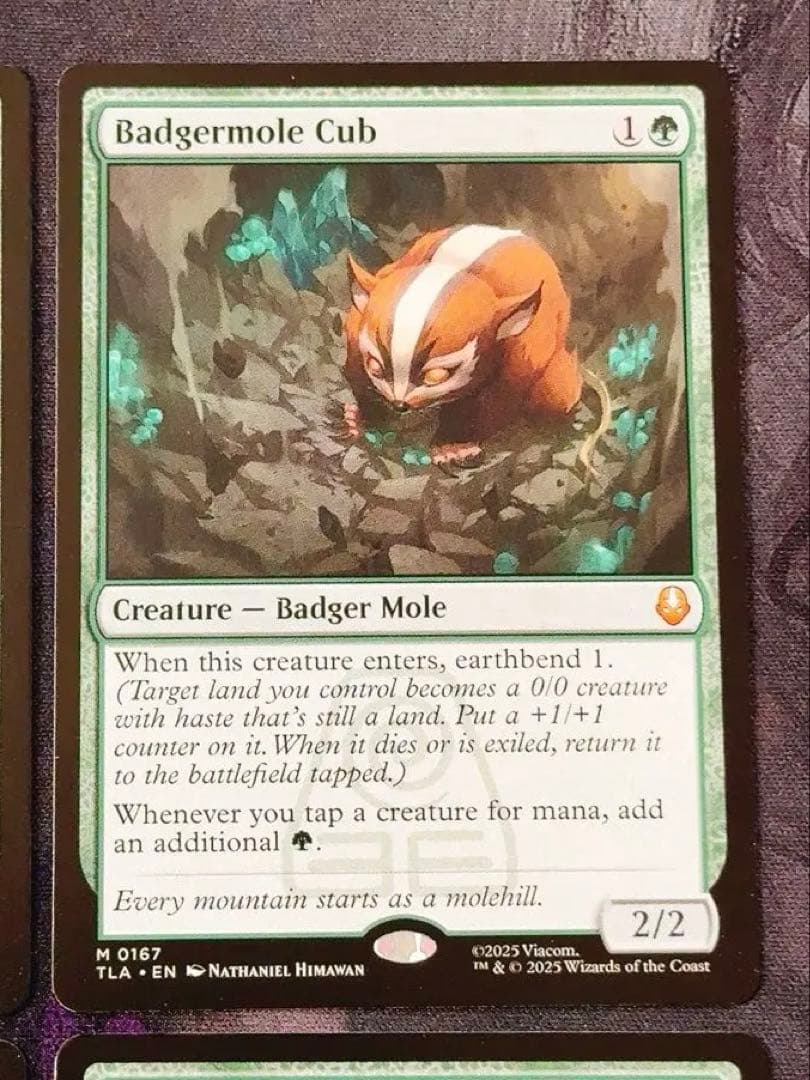 アナグマモグラの仔 英語 4枚セット - メルカリ