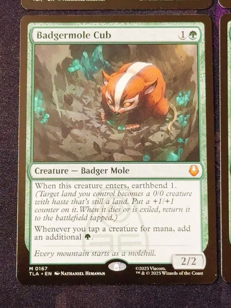 アナグマモグラの仔 英語 4枚セット - メルカリ