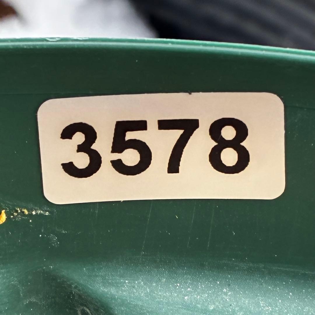 3578☘️蕾花タグ付き☘️6号ロング☘️2年間管理☘️Ashwood⭐️親株⭐️SD⭐️黒⭐️