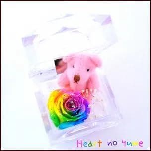 【高級プリザーブドフラワー】レインボーローズ&ベア ジュエリーギフト