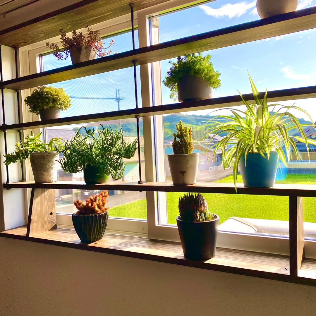 TVにて紹介されました 突っ張れて倒れない　窓枠ラック　tasty 3