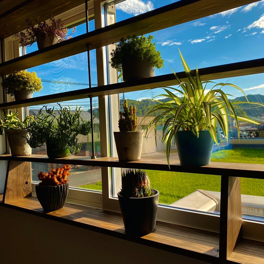 TVにて紹介されました 突っ張れて倒れない　窓枠ラック　tasty 3