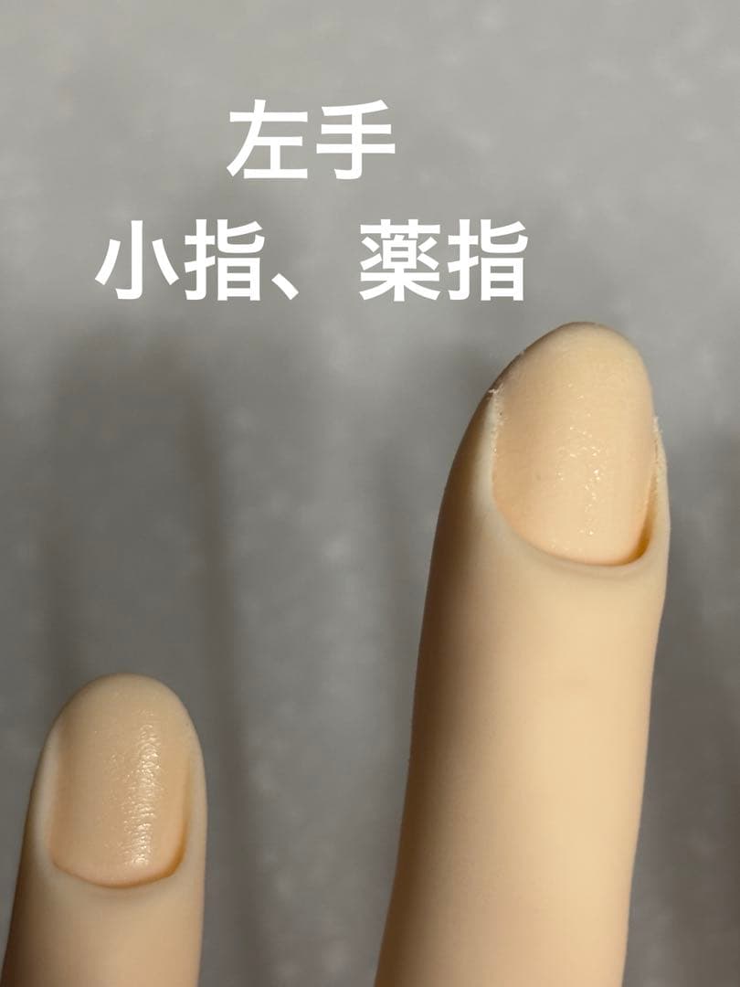 STモデルハンド右手&左手 ネイリスト技能検定試験用 JNEC認定モデルハンド