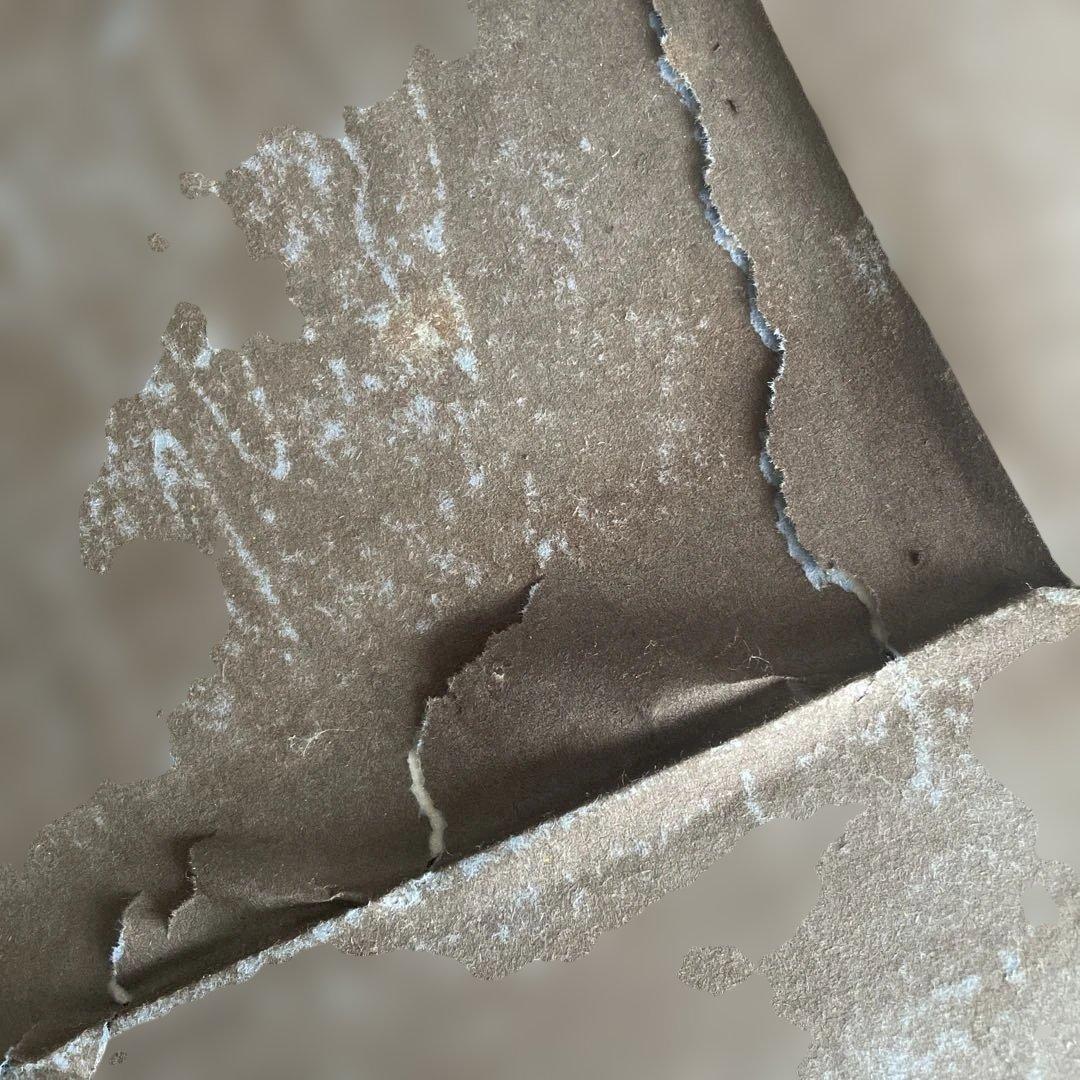 彫刻画 レプリカ G.Andreoni - メルカリ